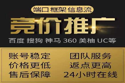 SEM推广优化策略：成功案例解析