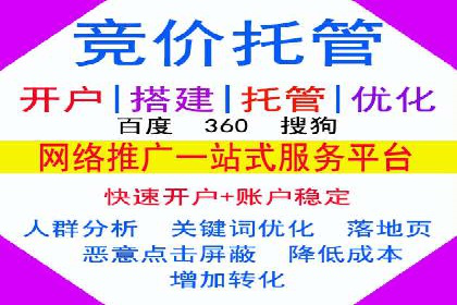 某电商平台的SEM策略与效果展示